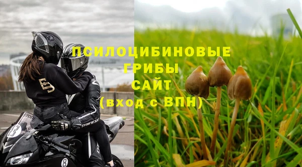 эйфоретик Козельск