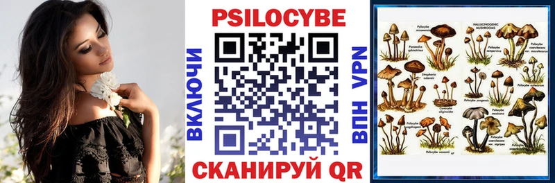 Галлюциногенные грибы Psilocybe  Батайск 