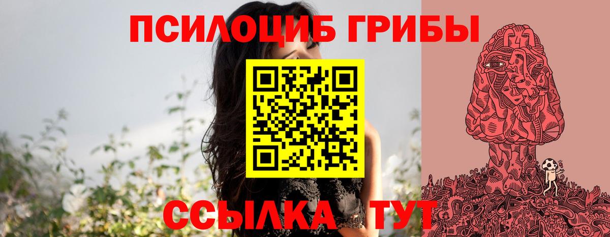 Батайск  дарнет шоп  Псилоцибиновые грибы GOLDEN TEACHER  Вход с VPN  Галлюциногенные грибы MAGIC MUSHROOMS 