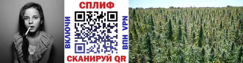 МЕГА сайт  Батайск  Марихуана гибрид 